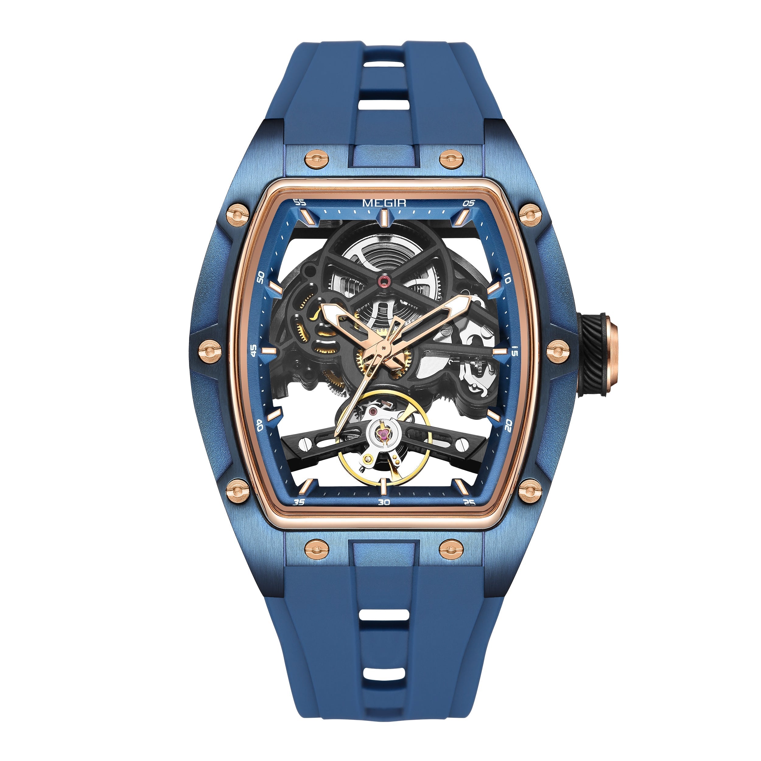 MEGIR Phantom Skeleton 2242