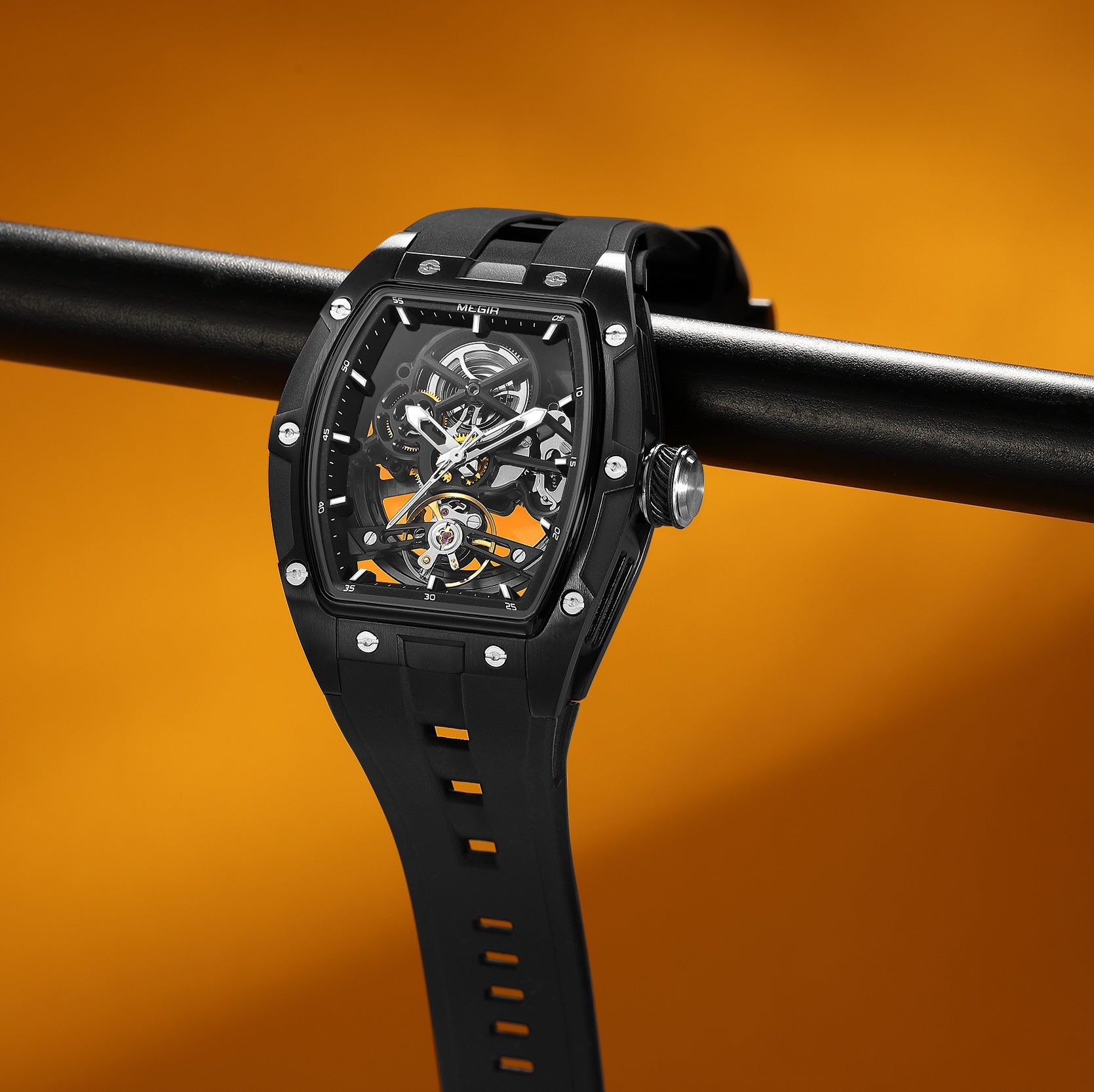 MEGIR Phantom Skeleton 2242