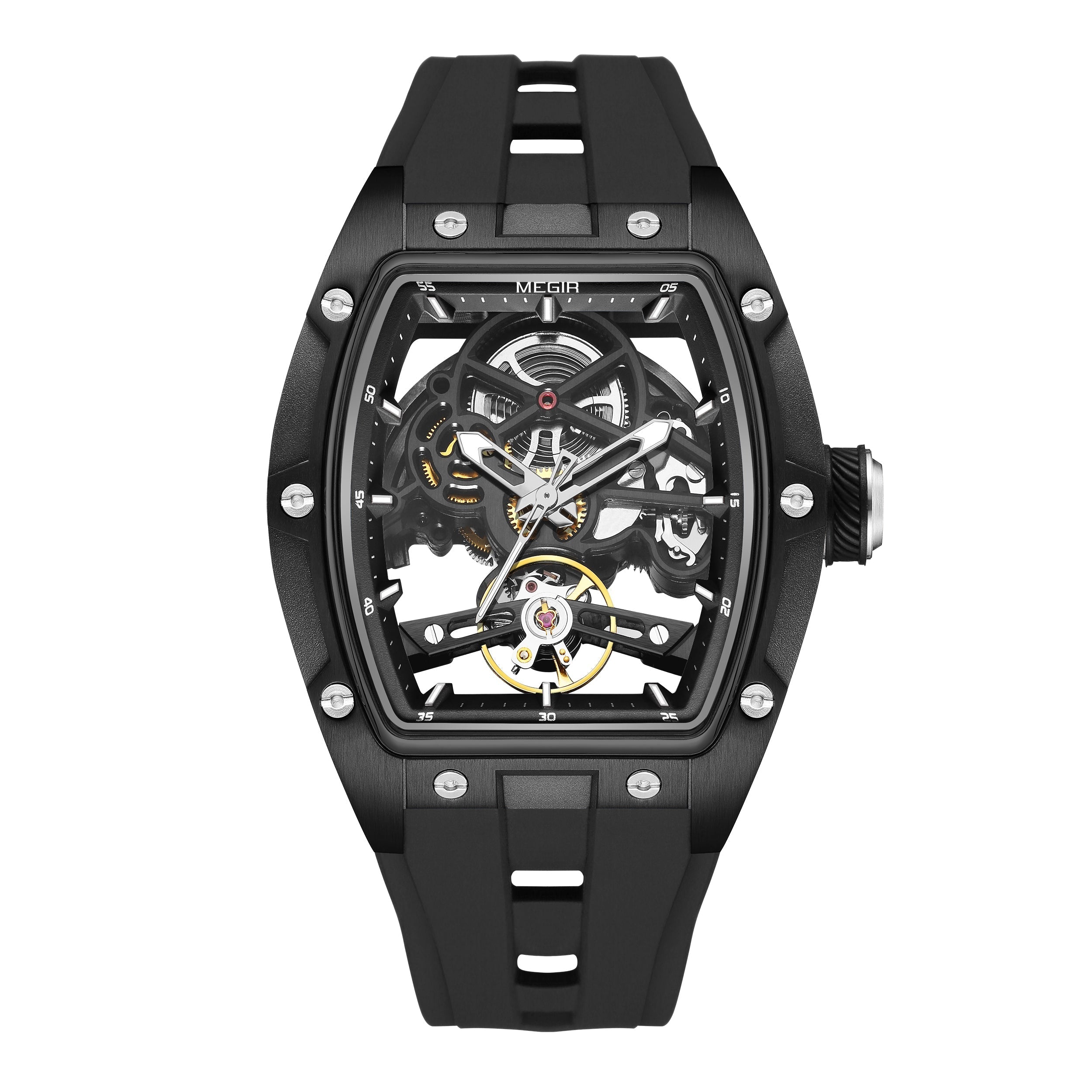 MEGIR Phantom Skeleton 2242