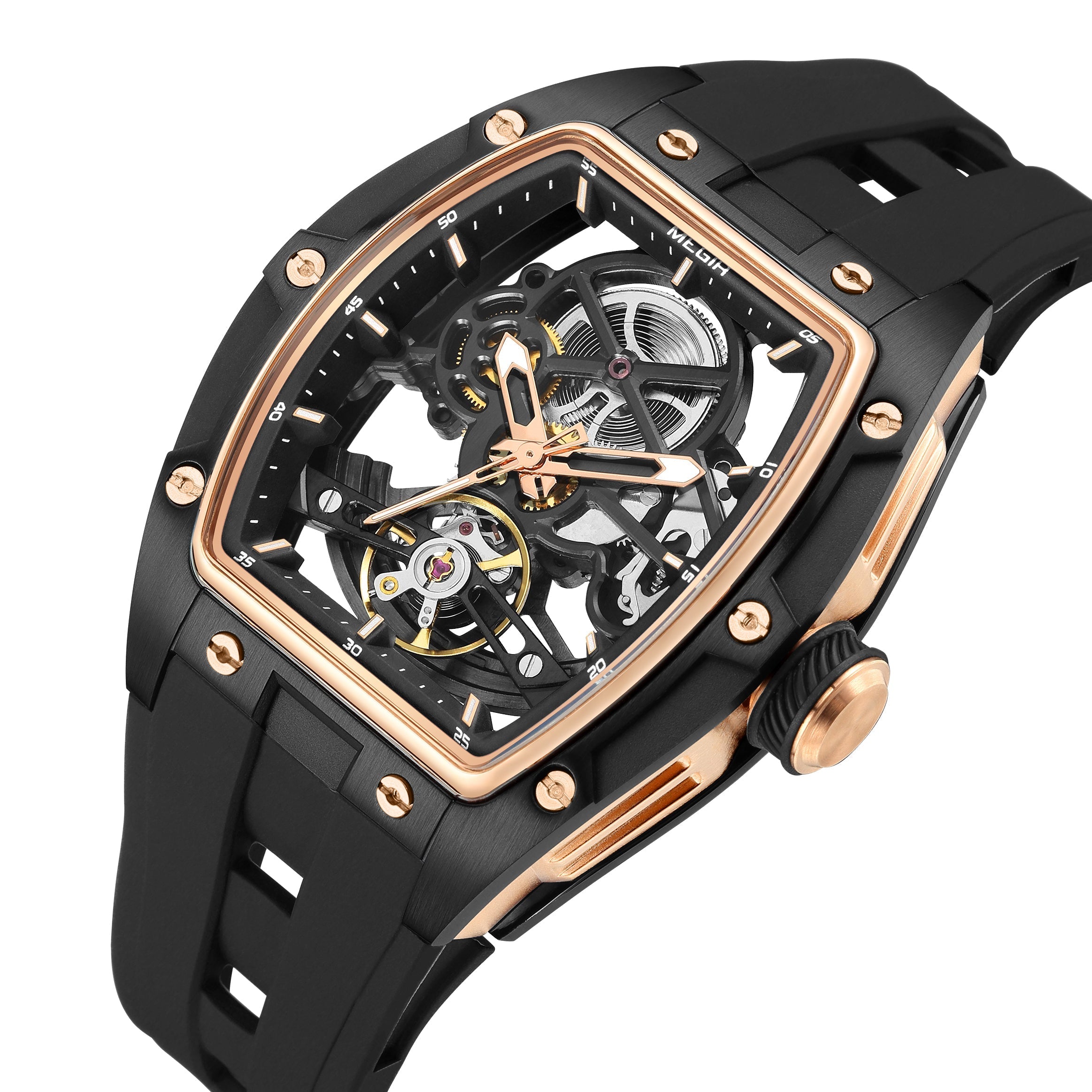MEGIR Phantom Skeleton 2242