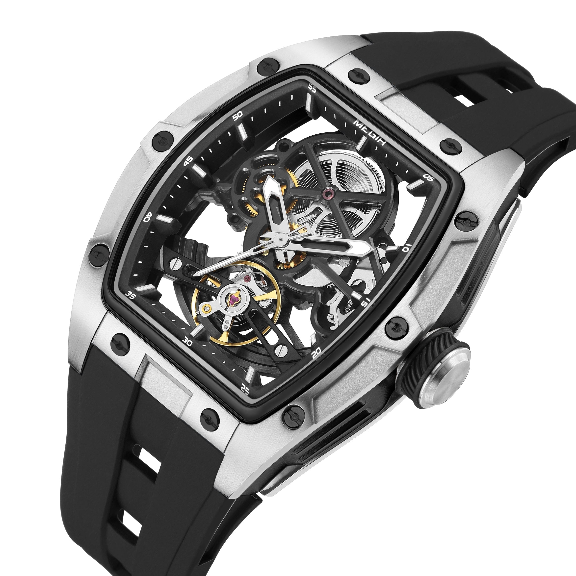 MEGIR Phantom Skeleton 2242