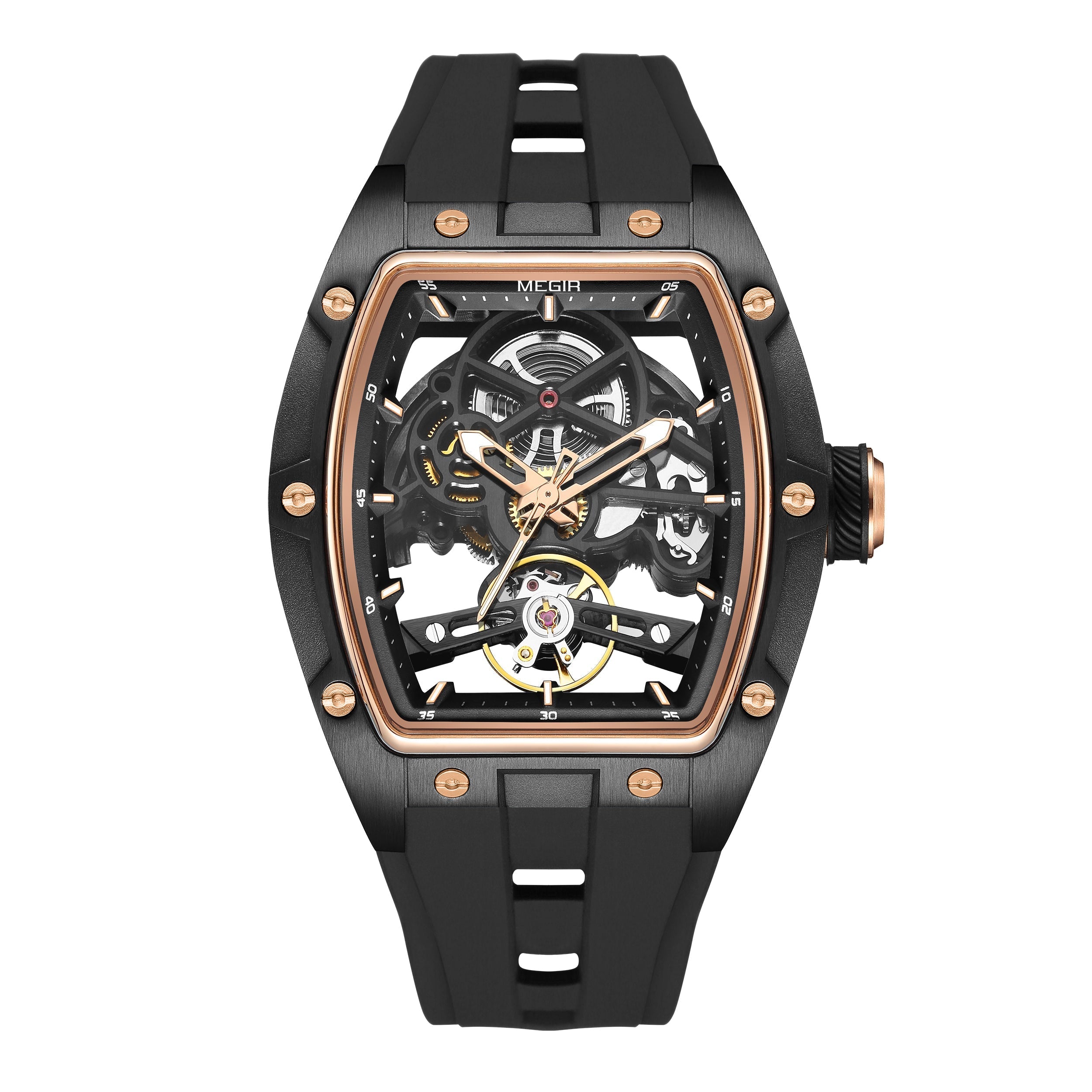 MEGIR Phantom Skeleton 2242