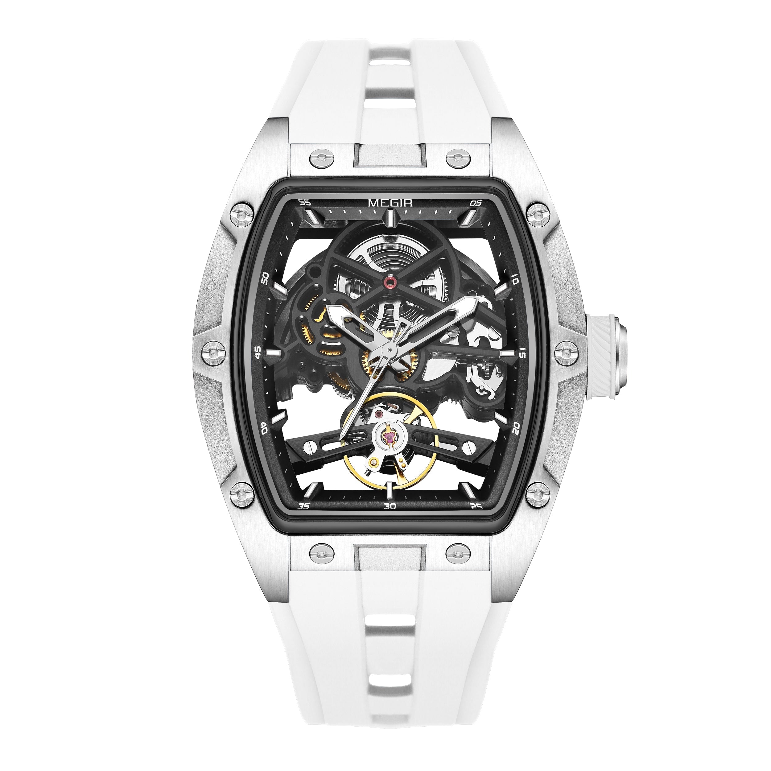 MEGIR Phantom Skeleton 2242