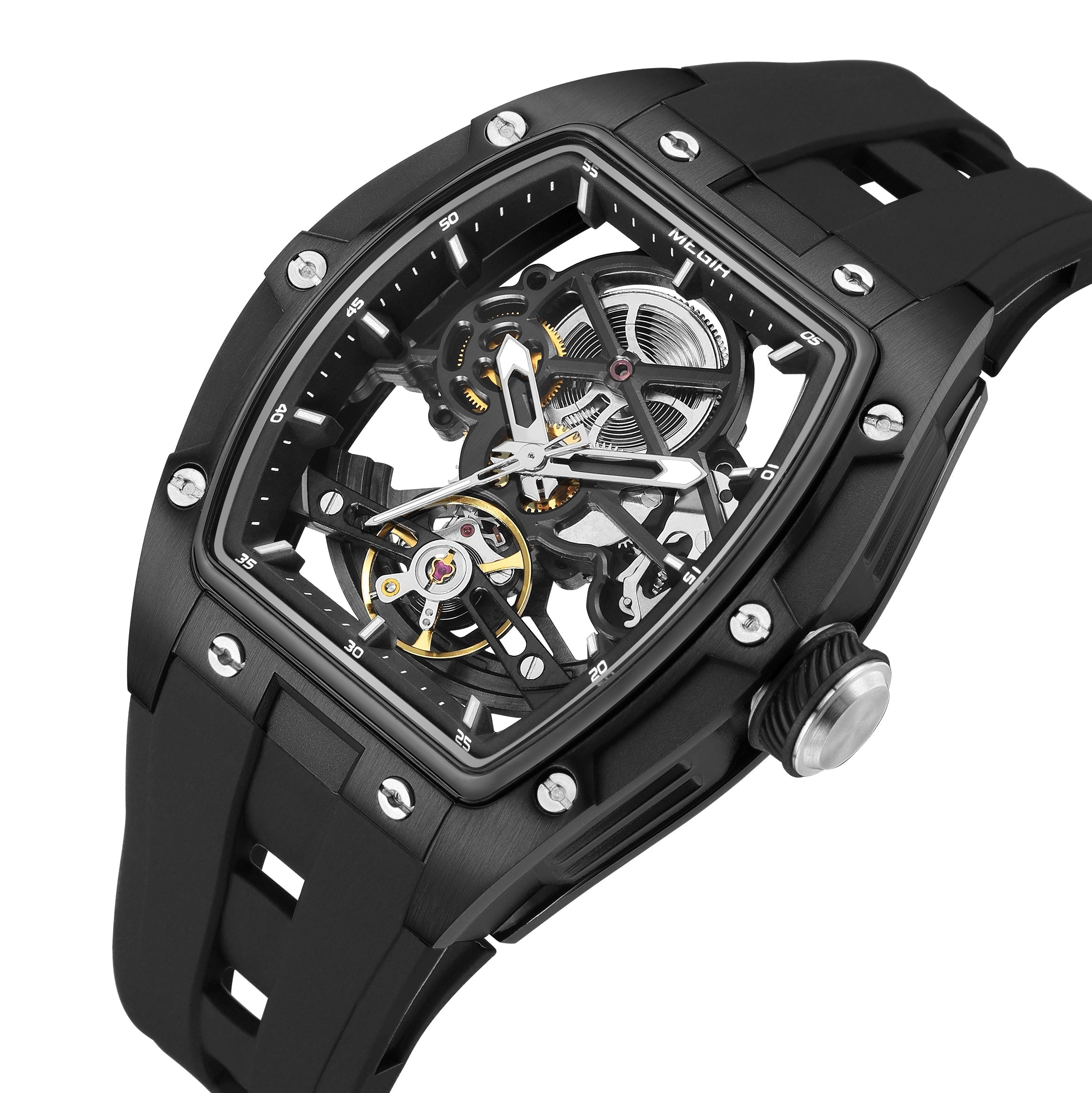 MEGIR Phantom Skeleton 2242