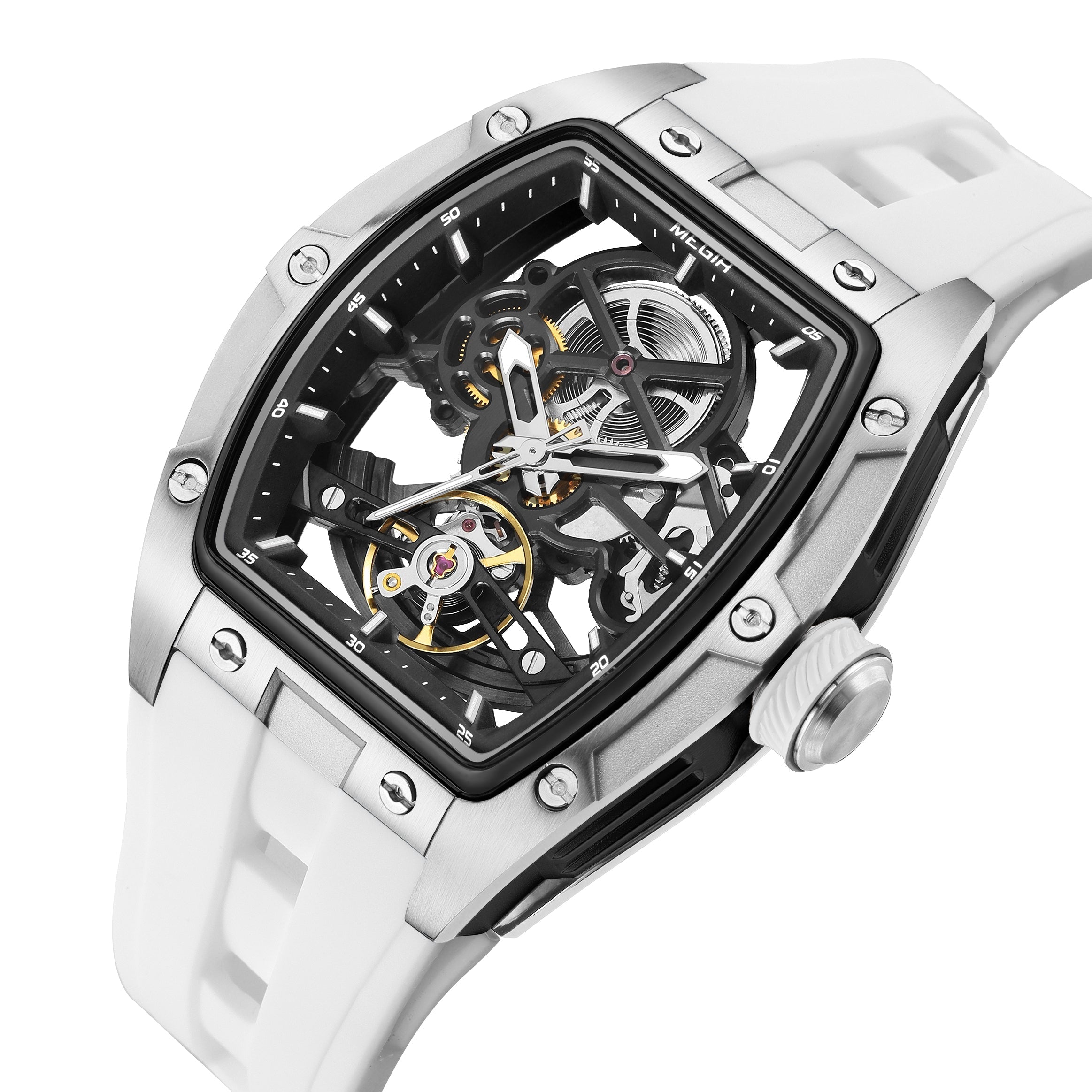 MEGIR Phantom Skeleton 2242