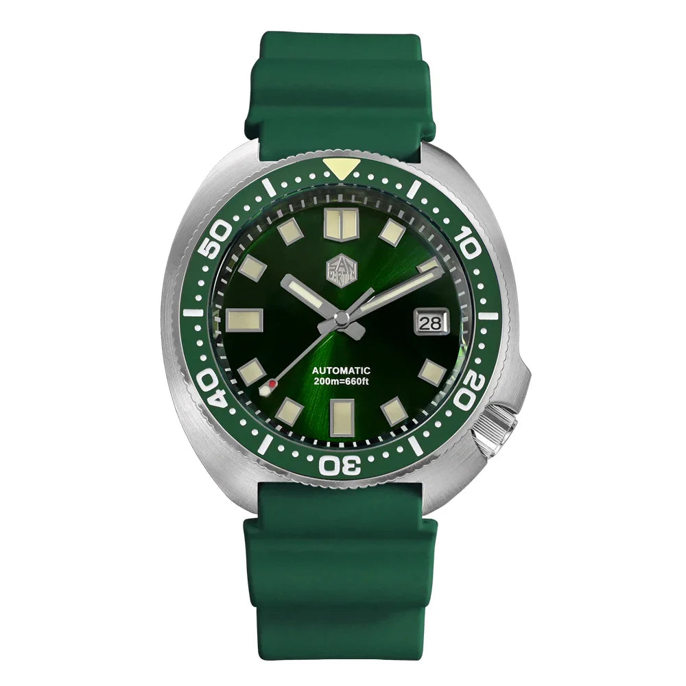 San Martin Turtle
